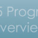 A blue banner with the words " 5 progress overview ".